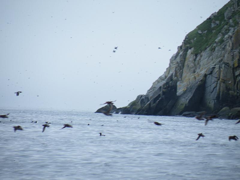 Bering Strait Crossing 018.jpg